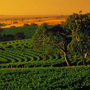 McVale to Barossa image
