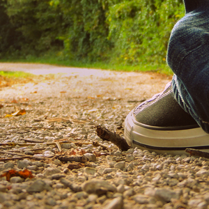 Walking Trail image