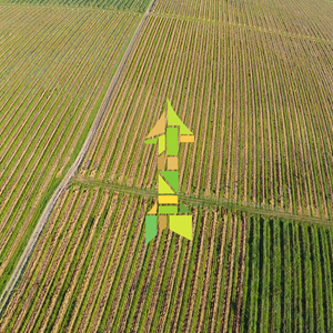 Northern Exposure image