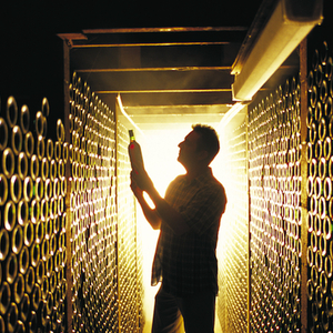 Premium Wine Trail image