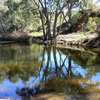 Pekina Creek Reservoir Irrigation Scheme image